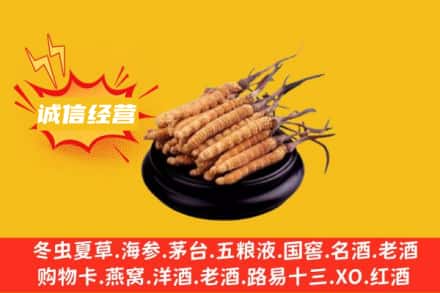 汕尾回收冬虫夏草